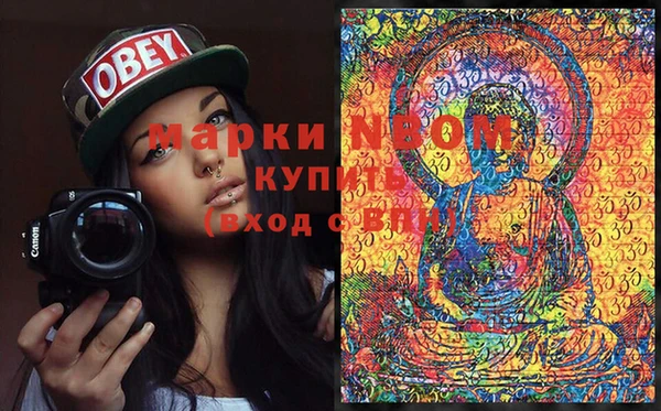соль ск Надым