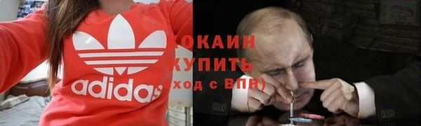 дживик Навашино