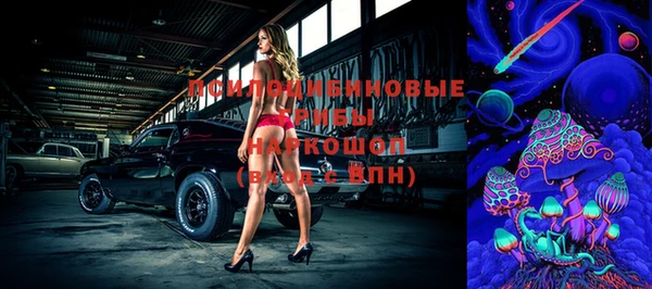 дживик Навашино