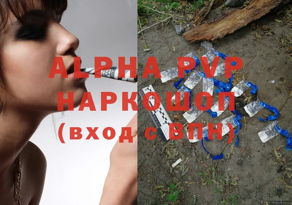 соль ск Надым