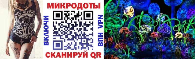 Псилоцибиновые грибы Cubensis  Невинномысск 