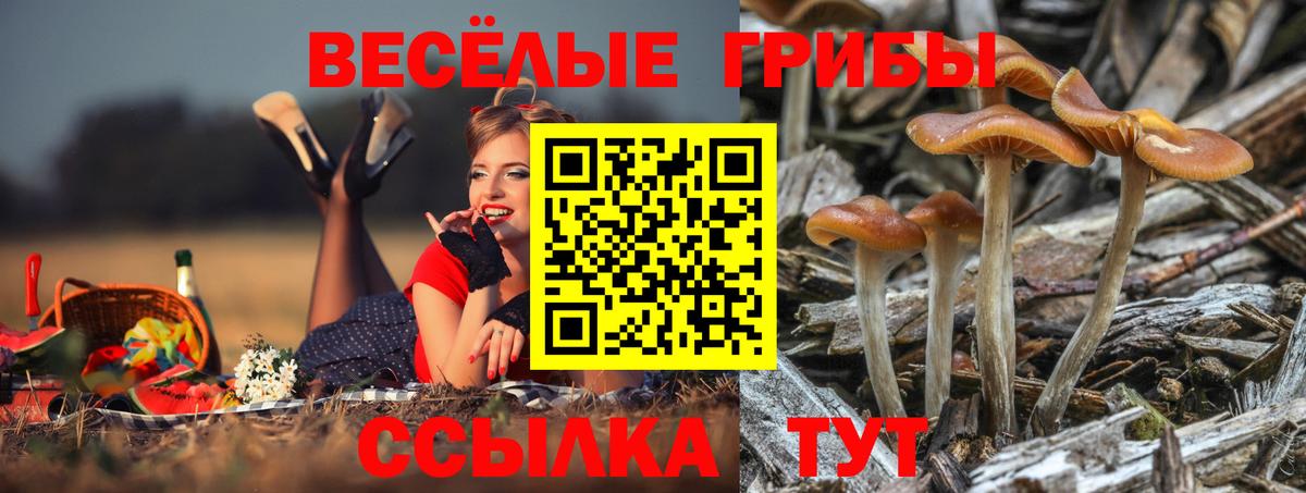 Псилоцибиновые грибы Magic Shrooms Невинномысск
